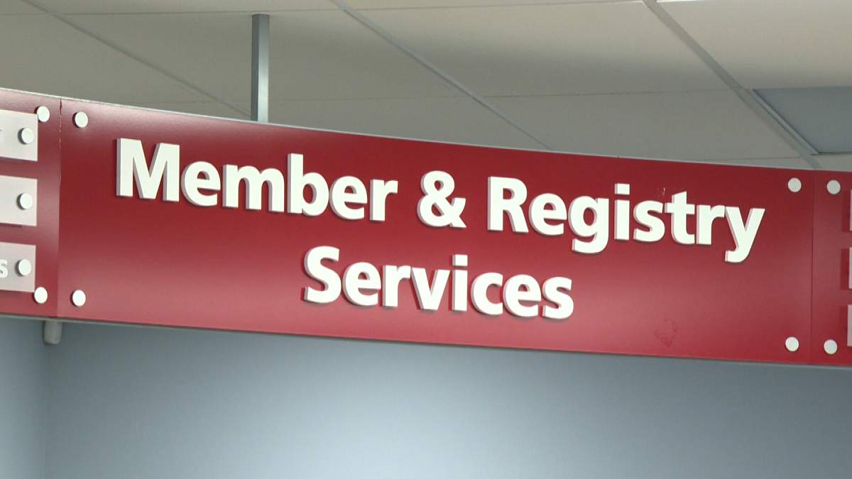 Albertans can renew their driver's licences and identification cards online starting on Tuesday, the government announced.