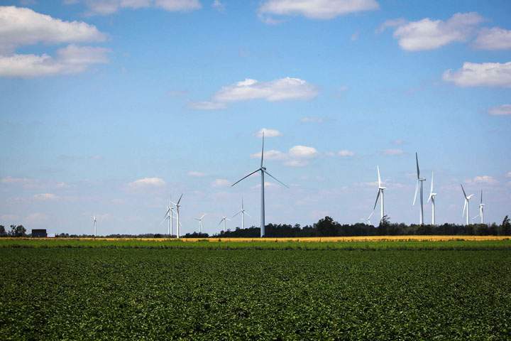 So far, more than 20 people have actively engaged with a local farmer or agricultural company through the campaign, according to Smith.
