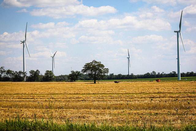 A wind farm in southern Ontario.