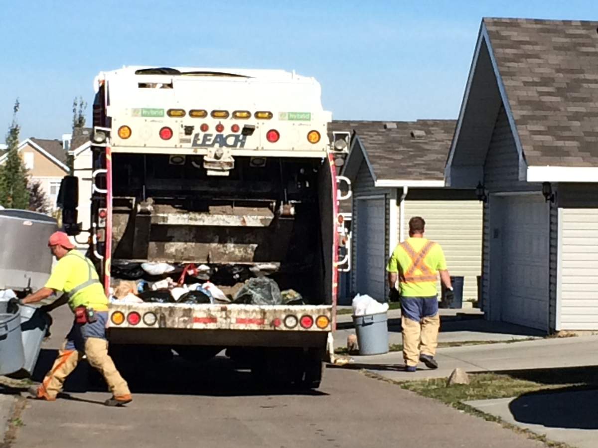 Edmonton waste collectors battle wasps, September 16, 2014