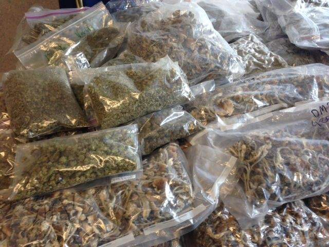 Part of EPS’ seizure, displayed September 17, 2014