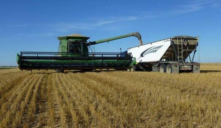 Sept. 25: This Your Saskatchewan photo was taken by Cheryl Hare of harvesting a field of spring wheat on a farm northwest of Rosetown.