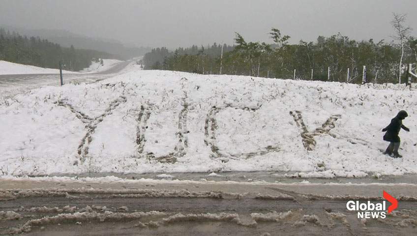 Tell us how you really feel about the snow…