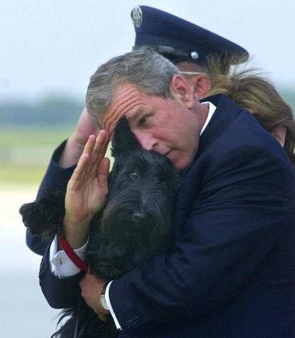 In this June 25, 2001 file photo, President Bush does his best to salute while holding his dog Barney as they get off of Air Force One at Andrews Air Force Base, Md. (AP Photo/Susan Walsh, File)