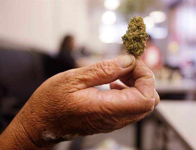 A woman holds up a bud of marijuana.
