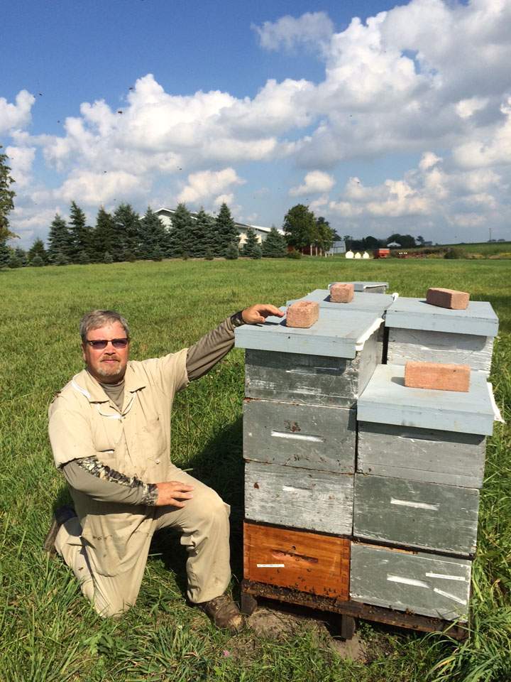 Davis Bryans, owner of Munro Honey, with just some of his hives.