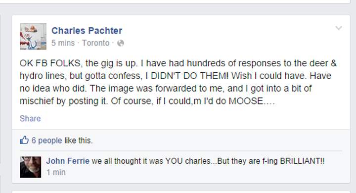 Oh deer! Artist Charles Pachter admits animal hydro towers are not his design - image