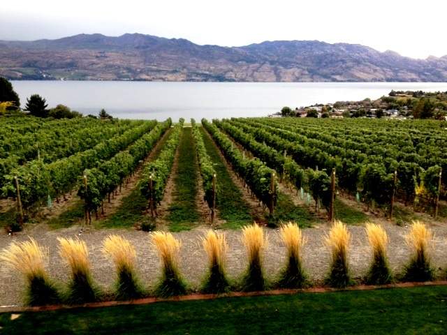 BC wine industry contributes $2B a year to province’s economy - image