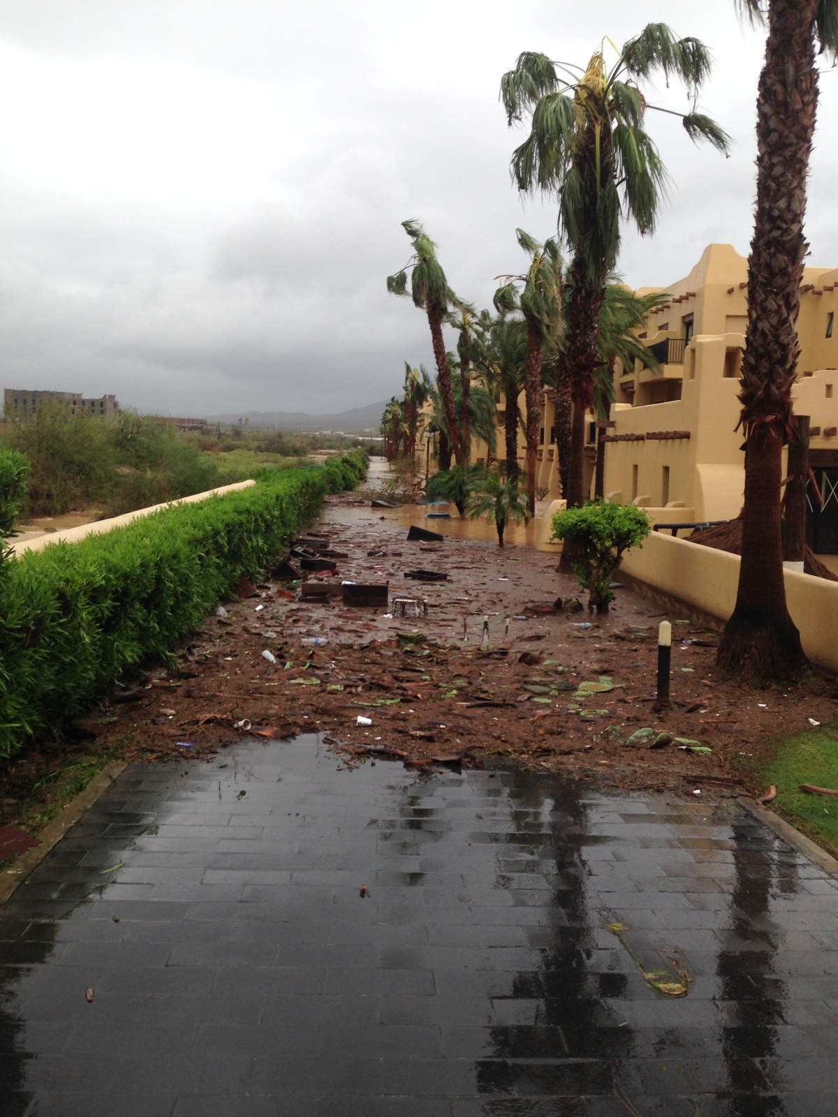 B.C. tourist praises Cabo San Lucas hotel staff, residents following Hurricane Odile - image