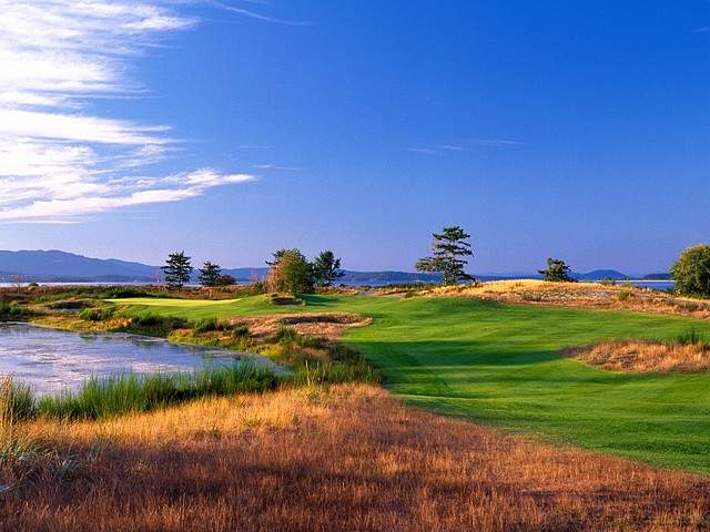 Sotheby's International Realty