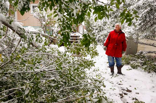 Rare September snow has Calgarians reeling