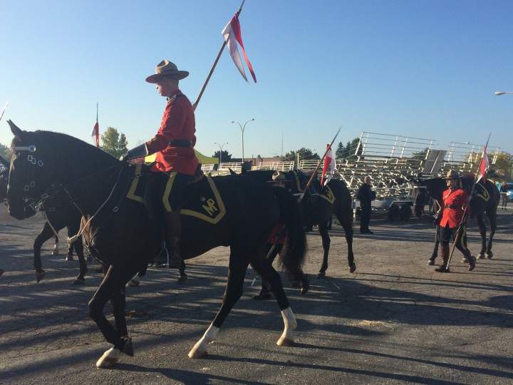 The RCMP musical ride.