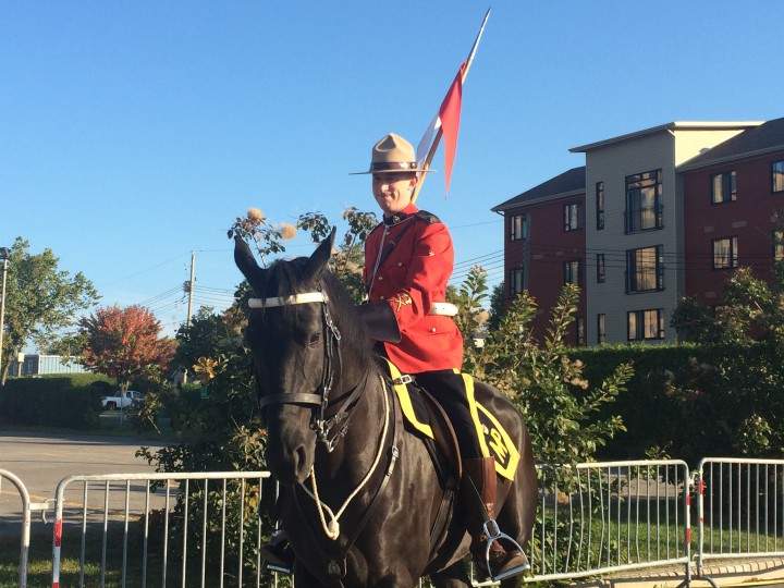The RCMP musical ride.