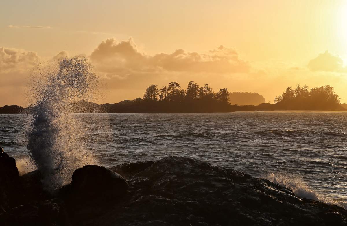 Richard Coulson – Tofino