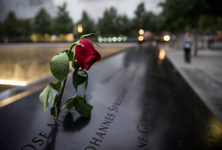 A wilting rose is left in remembrance of those lost before the memorial observances held at the site of the World Trade Center in New York, Sept. 11, 2014. (Photo credit: AP Photo/POOL, Andrew Burton)
