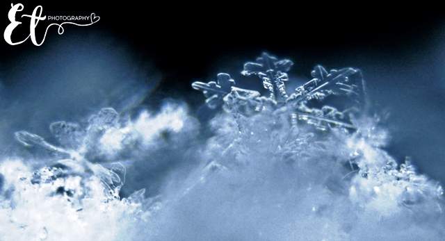 According to Environment Canada, rain may change to snow overnight before tapering off Friday.