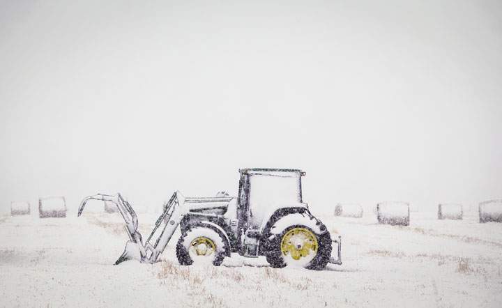 Why the rest of Canada is glad they don’t live in Alberta right now - image
