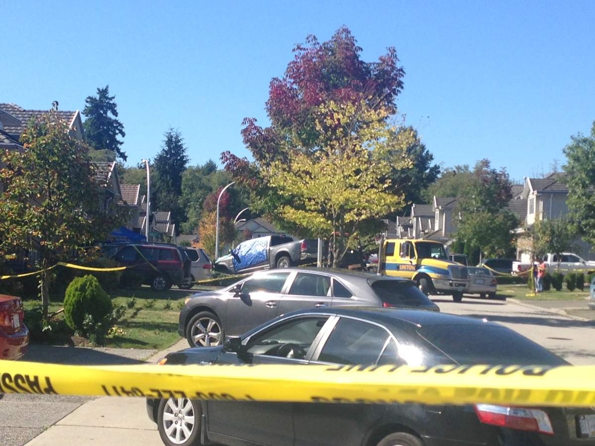 29-year-old man identified as victim in Surrey homicide - image