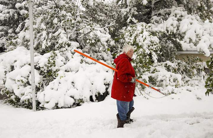 Why the rest of Canada is glad they don’t live in Alberta right now - image