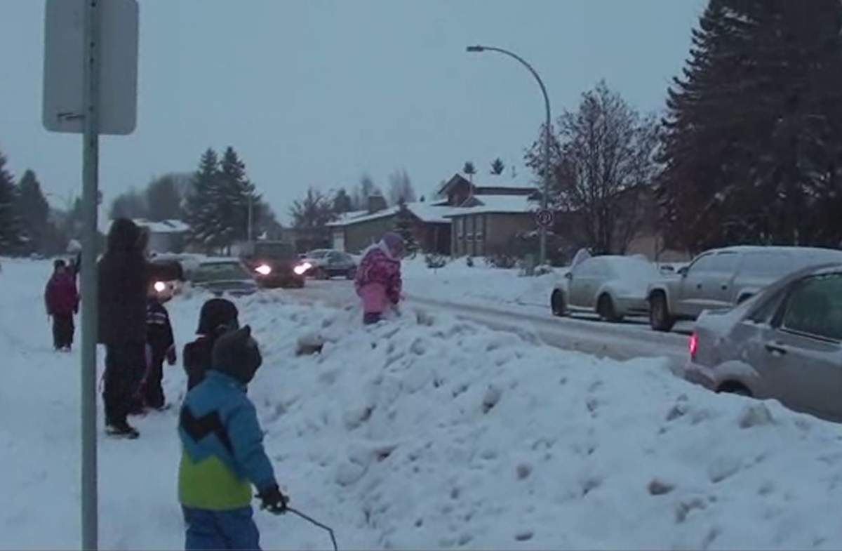 A large windrow seen here in Edmonton in December 2012.