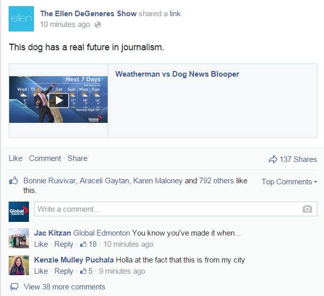Video of Mike and Ripple the dog is posted on the Ellen Degeneres Show’s Facebook page Monday, October 20, 2014.