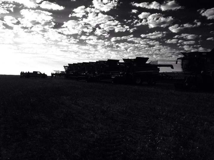 Oct. 3: This Your Saskatchewan photo was taken by Darcy Kabaroff at Blaine Lake.