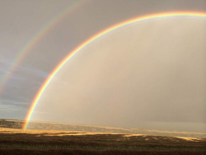 Oct. 6: This Your Saskatchewan photo was taken by Guy Michaud near Delmas.