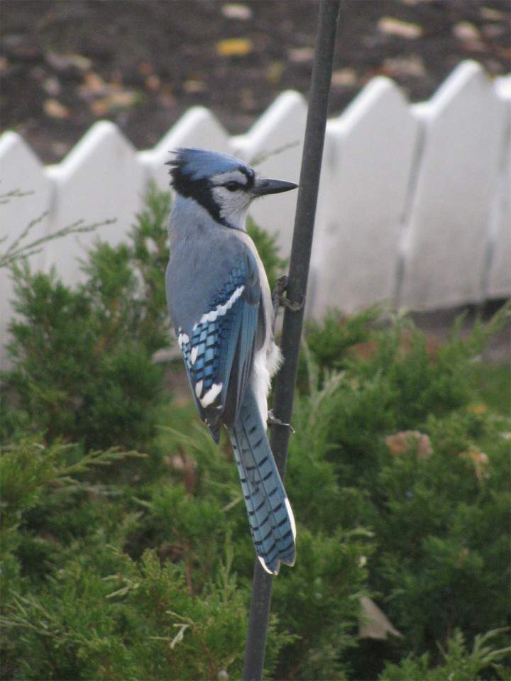 Oct. 23: This Your Saskatchewan photo was taken by Jennifer Sealey in North Battleford.
