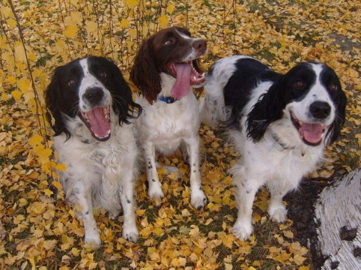 Oct. 27: This Your Saskatchewan photo was taken by Dianne Dixon near Ruthilda.