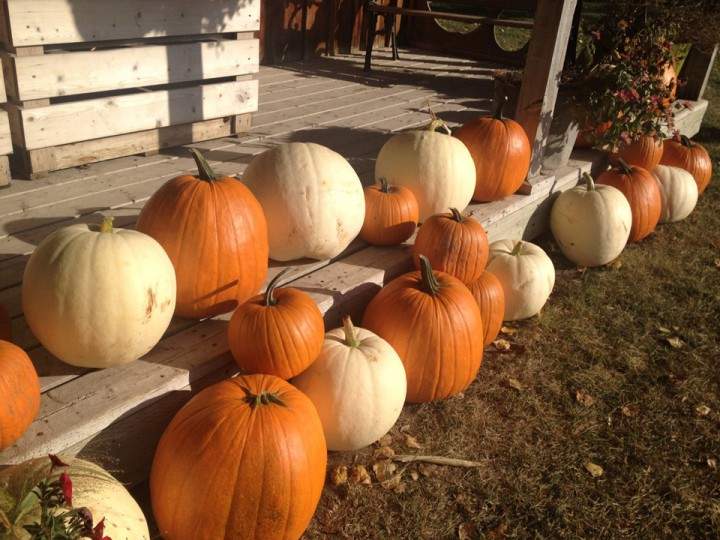 Oct. 31: This Your Saskatchewan photo was taken by Aidan Low in Saskatoon.