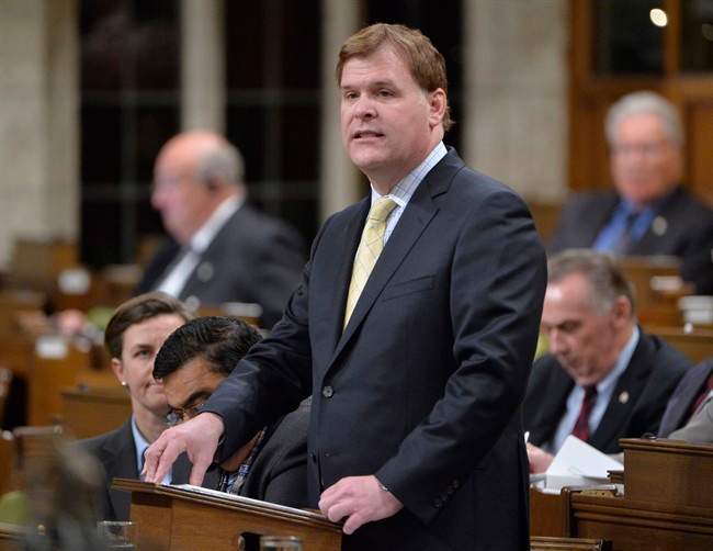 Foreign Affairs Minister John Baird rises to debate the government's decision to join a broad coalition of allies in airstrikes against ISIL, in the House of Commons in Ottawa on Monday, Oct. 6, 2014.