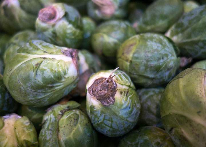 Brussels Sprouts