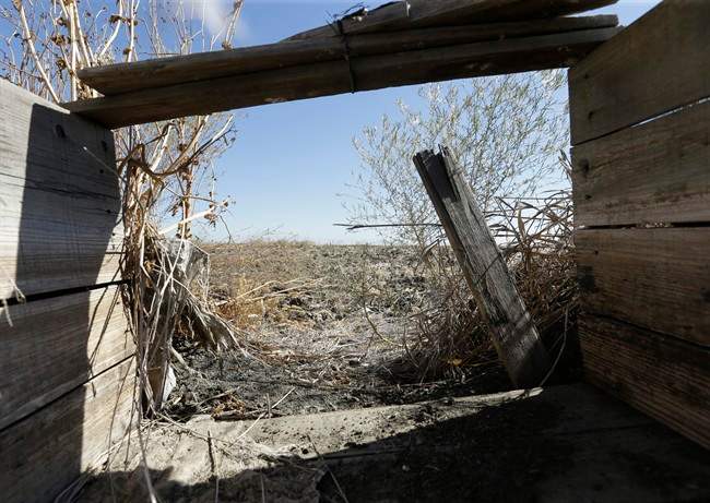a dilapidated rice box, normally used to control the flow of water between two rice fields, sits idle on a field that has been fallowed due to the drought, near Davis, Calif.