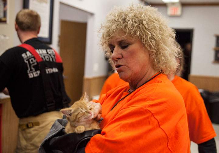 Gail Ludwick pets an orange kitten she rescued from the streets while volunteering for the Saginaw Arson Watch, Thursday, Oct. 30, 2014 at the Fraternal Order of Police Hall, 1120 South Niagara.
