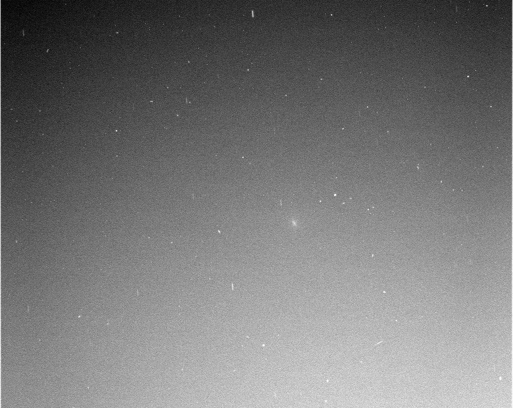 Comet Siding Spring