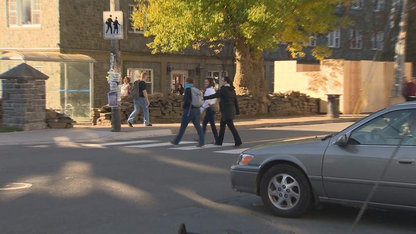A new crosswalk safety campaign will launch next week in Halifax as the city hopes to reverse the recent trend of vehicle-pedestrian collisions.