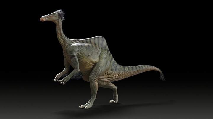 A 50-year-old mystery involving poachers and missing dinosaur bones has been solved by an international team of paleontologists, including one from the University of Alberta.