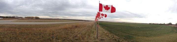 Flags line Highway 11 between Red Deer and Sylvan Lake in honour of 116,000 Canadian soldiers who have died since 1900.