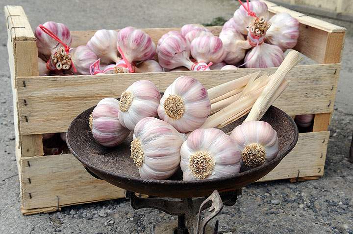 Cloves of pink garlic are pictured on August 23, 2013.