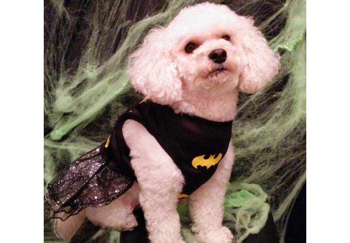 Daisy dressed up as Batgirl.