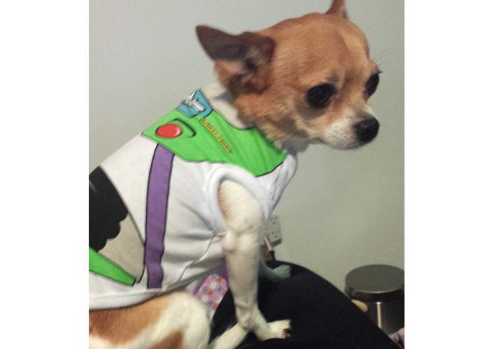 Franky dressed up as Buzz Lightyear.