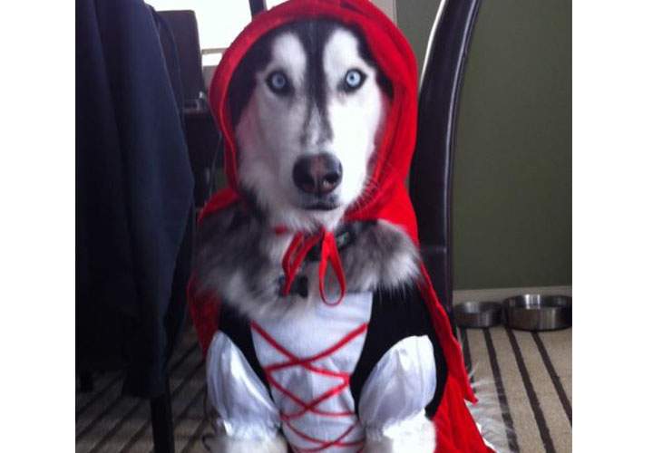Jasper dressed as Little Red Riding Hood.