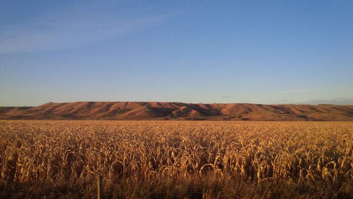 Oct. 15: This Your Saskatchewan photo was taken by Aurielle Bleau east of Crooked Lake.