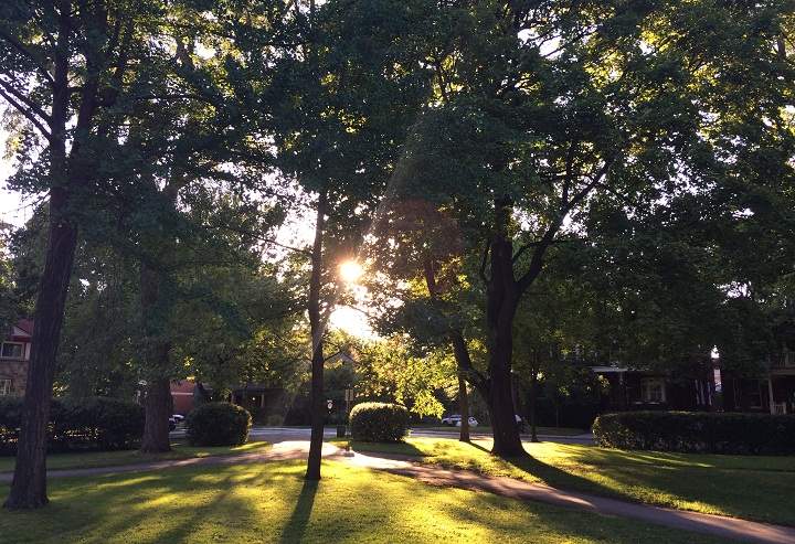A park in Outremont, Montreal.