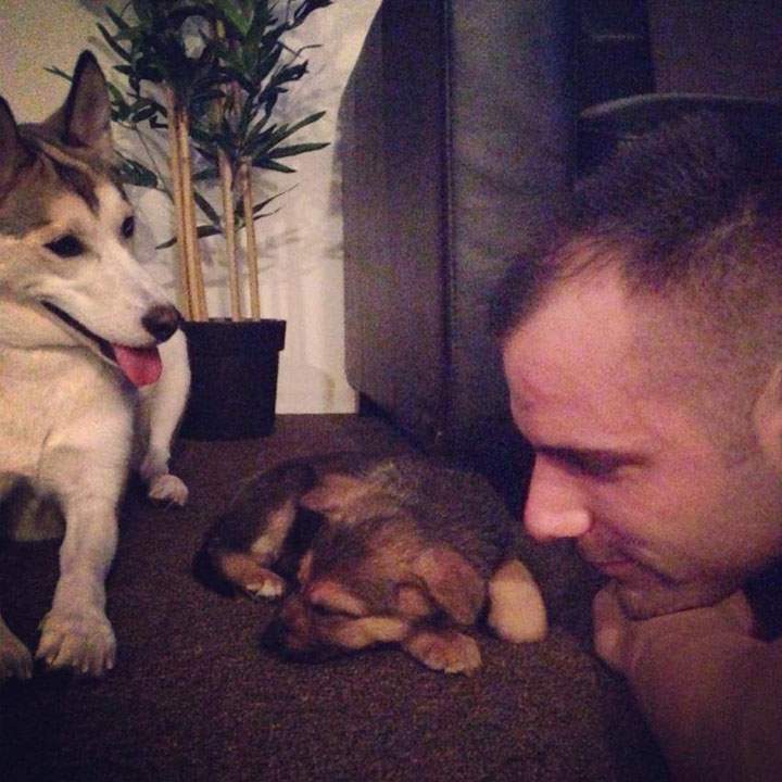 Cpl. Nathan Cirillo and his dogs