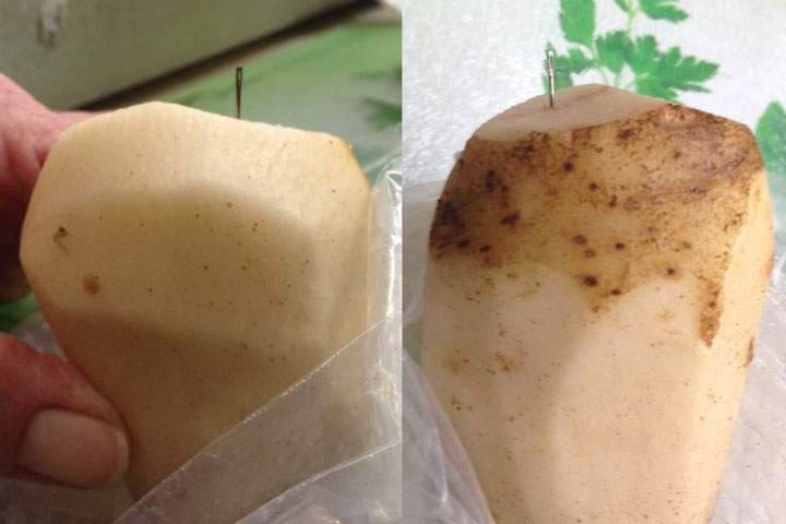 Police in Prince Edward Island say the metal objects reportedly found in at least six potatoes across Atlantic Canada are sewing needles.