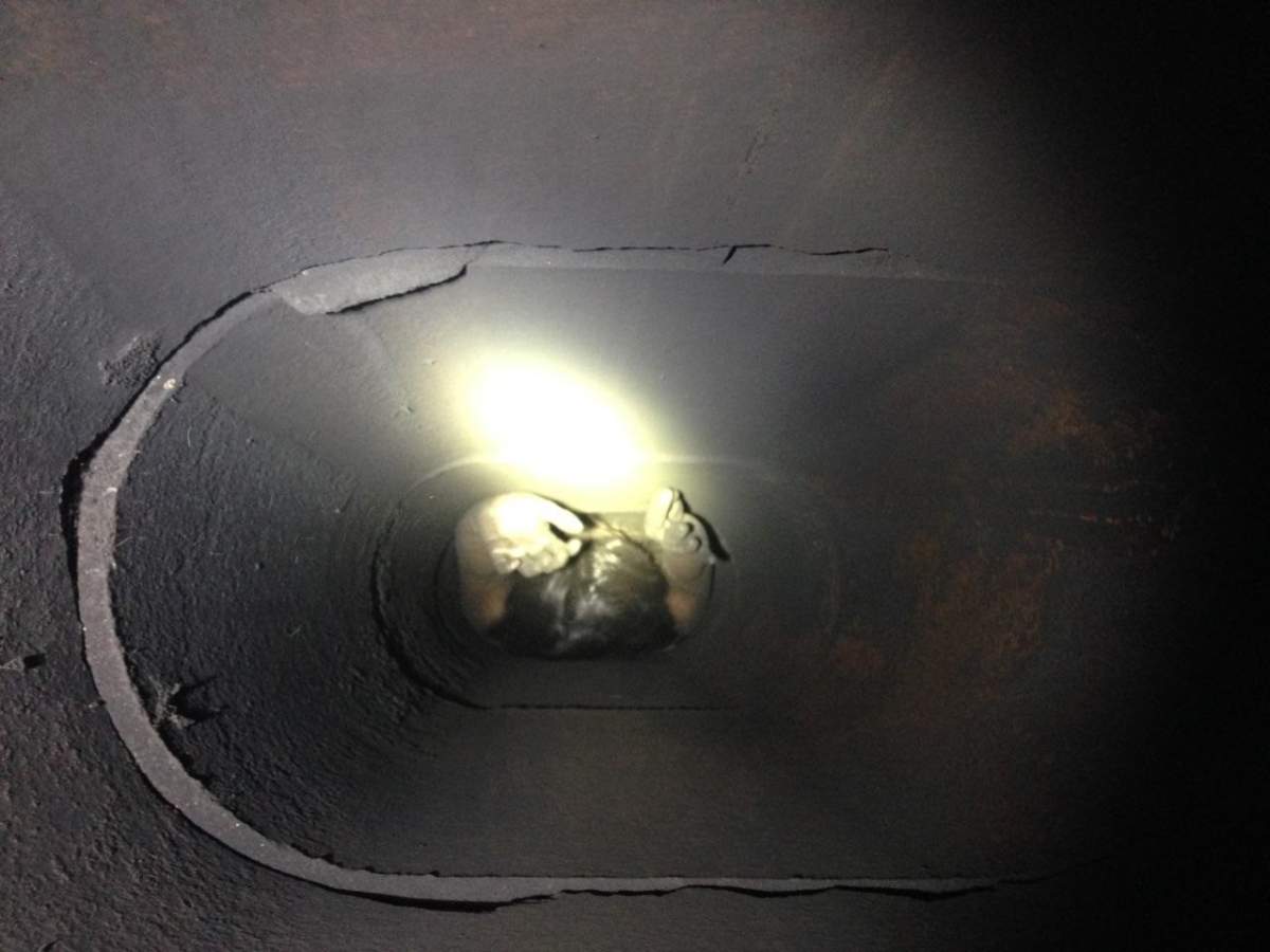 Genoveva Nunez-Figueroa, 28, stuck in chimney