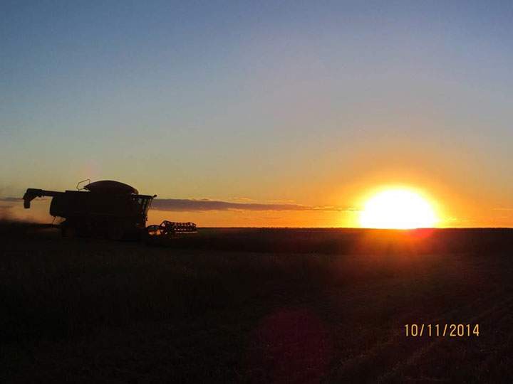 Oct. 17: This Your Saskatchewan photo was taken by Sandra Miller on a farm just outside Wilkie.