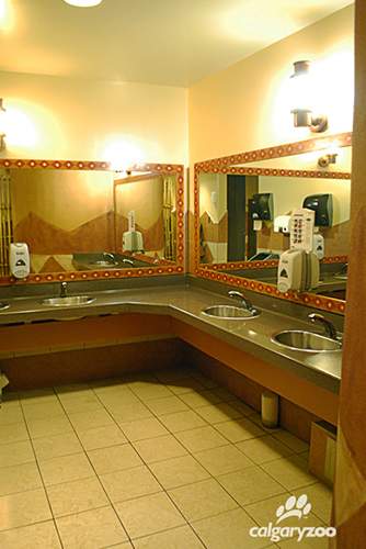 Calgary Zoo restroom named second best in Canada - image