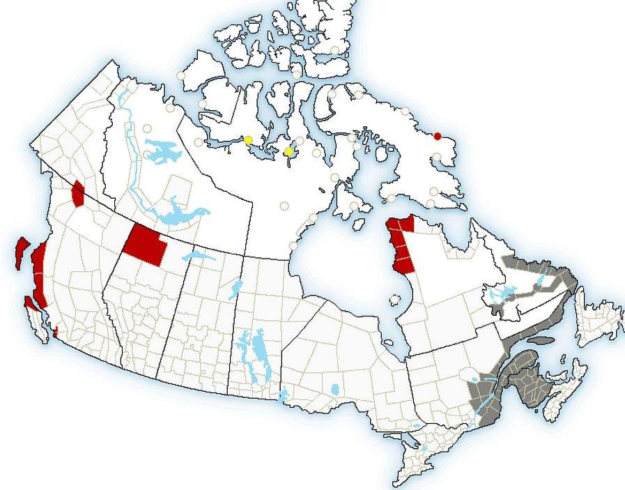 Freezing rain warning issued for northern Alberta - image